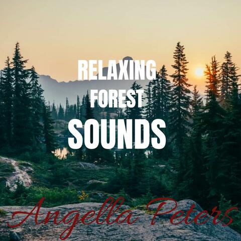 Relaxing Forest Sounds