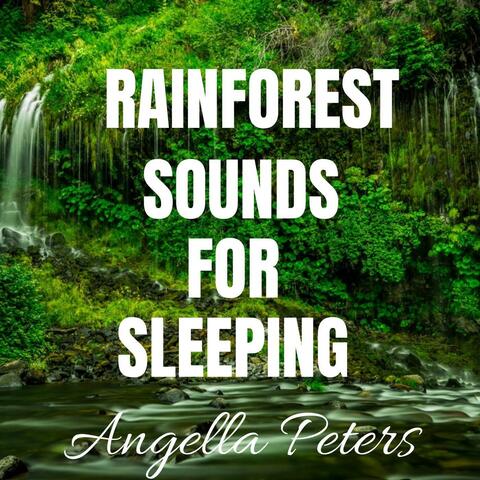 Rainforest Sounds For Sleeping