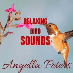Relaxing Bird Sounds