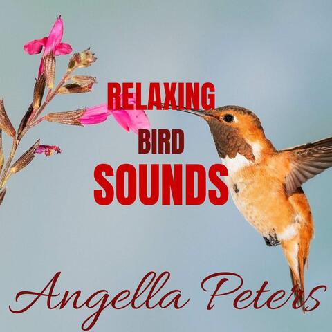 Relaxing Bird Sounds
