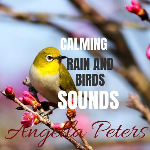 Calming Rain And Birds Sounds