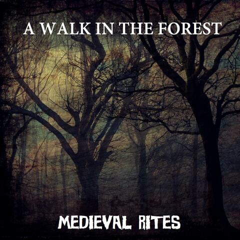 A Walk In The Forest