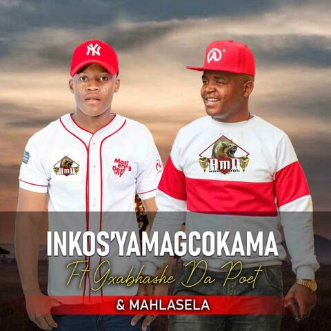 Ngangingazi