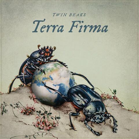 Terra Firma