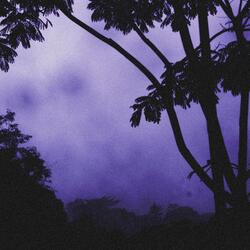 See You When The Sky Turns Purple