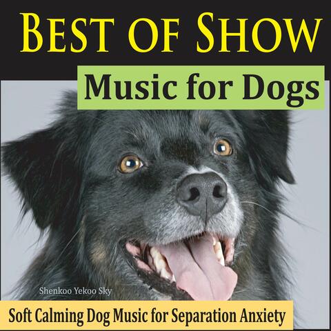 Best of Show Music for Dogs (Soft Calming Dog Music for Separation Anxiety)