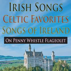 When Irish Eyes are Smiling (Traditional Penny Whistle)
