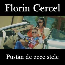 Pustan de zece stele