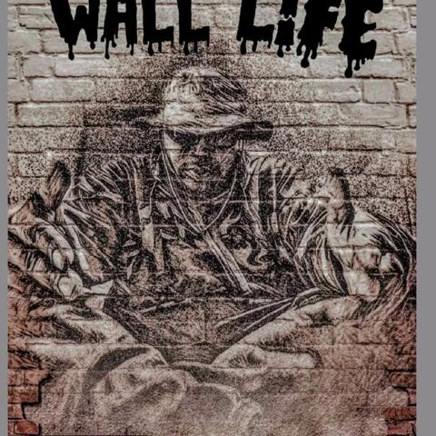 Wall life