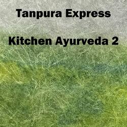Kitchen Ayurveda 2