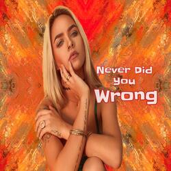 Never Did You Wrong
