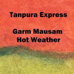 Tanpura Excess