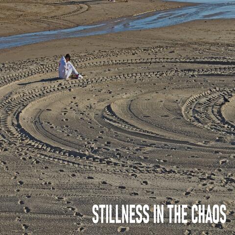 Stillness in the Chaos