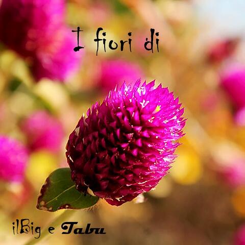 I fiori di