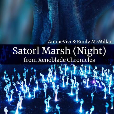 Satorl Marsh (Night) [From "Xenoblade Chronicles"]