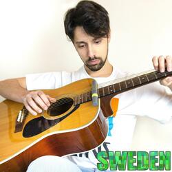 Sweden on Guitar (From "Minecraft")