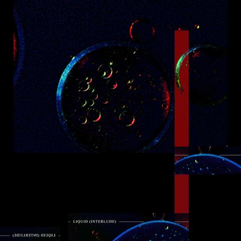 Liquid (Interlude)