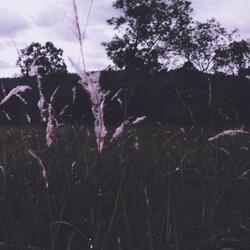 I Will Always Wait Here...