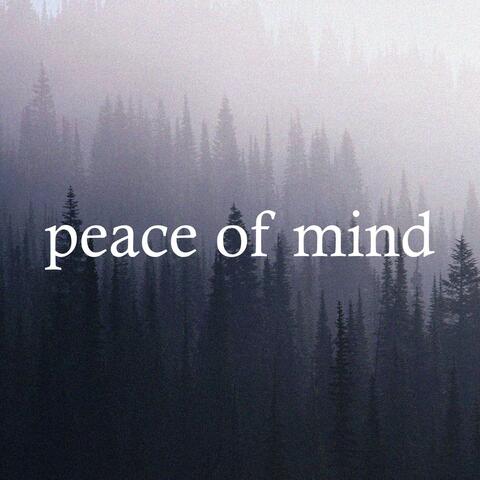 Peace of Mind