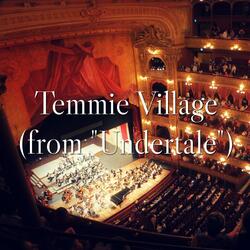 Temmie Village (From "Undertale")