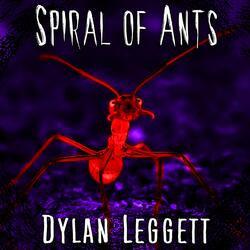Spiral of Ants
