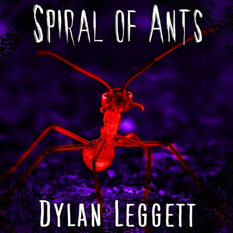 Spiral of Ants