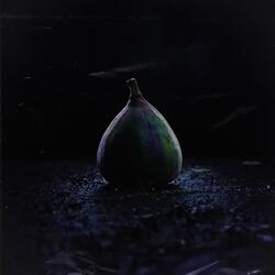 Rotten Fruit Falls Down By Itself
