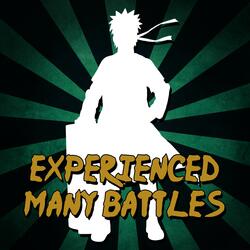 Experienced Many Battles (From "Naruto Shippuden")
