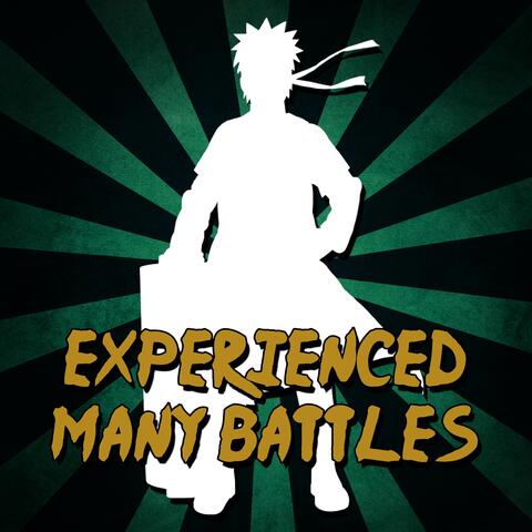 Experienced Many Battles (From "Naruto Shippuden")