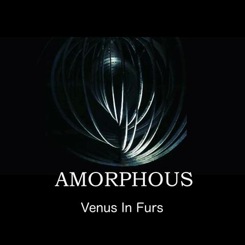Venus In Furs