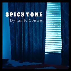 Dynamic Control