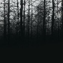 Blair Witch