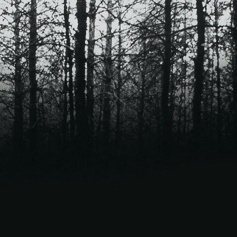 Blair Witch