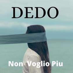 Non voglio piu
