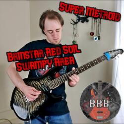 Brinstar Red Soil Swampy Area (Super Metroid)