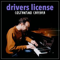 drivers license