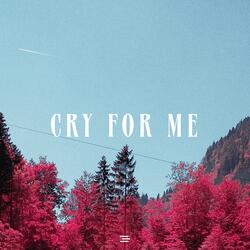 Cry For Me