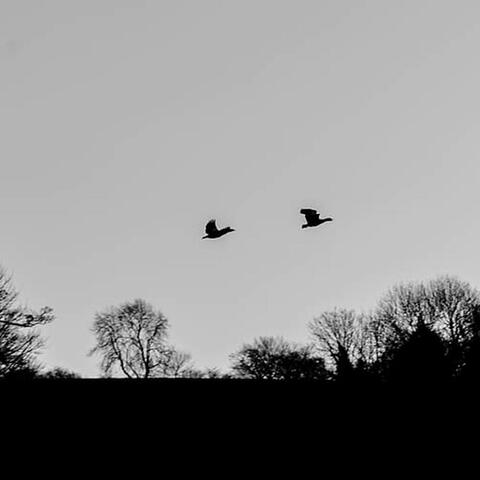 Far Away
