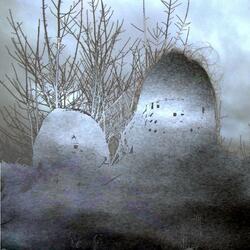 Symbiotic Robotscapes