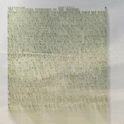 Notes for a Paused City 2