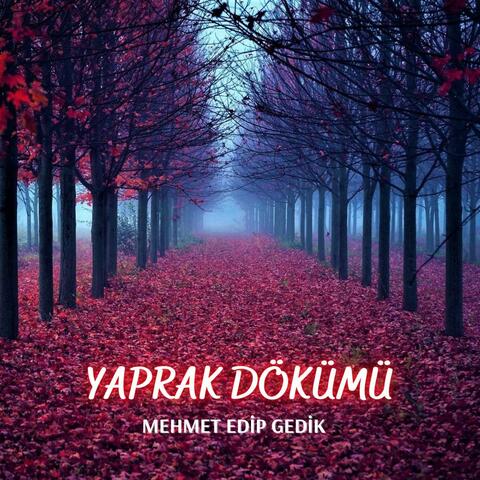 Yaprak Dökümü