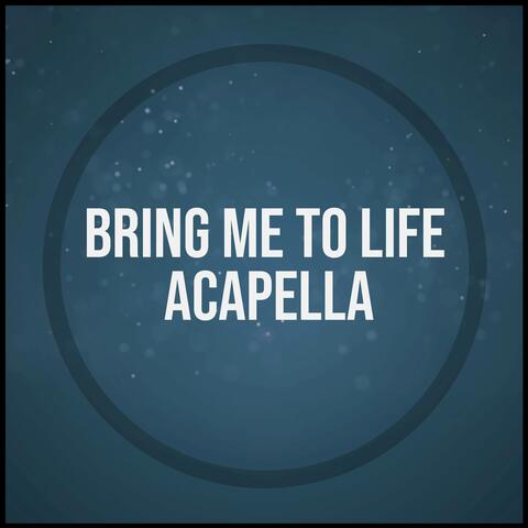 Bring Me To Life