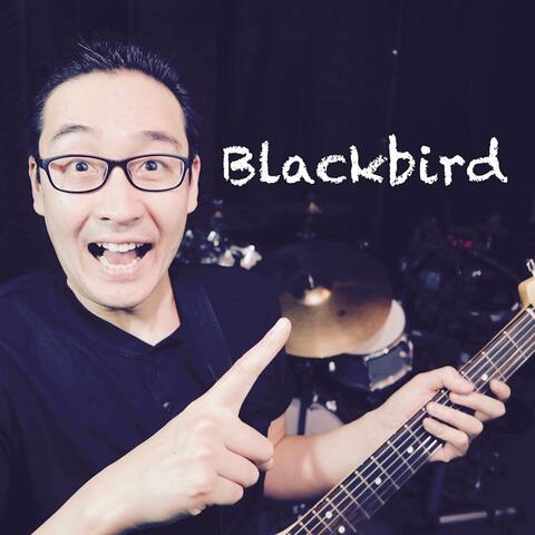 Blackbird