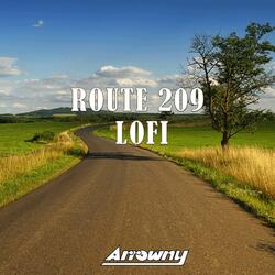 Route 209 (From "Pokemon Diamond and Pearl")