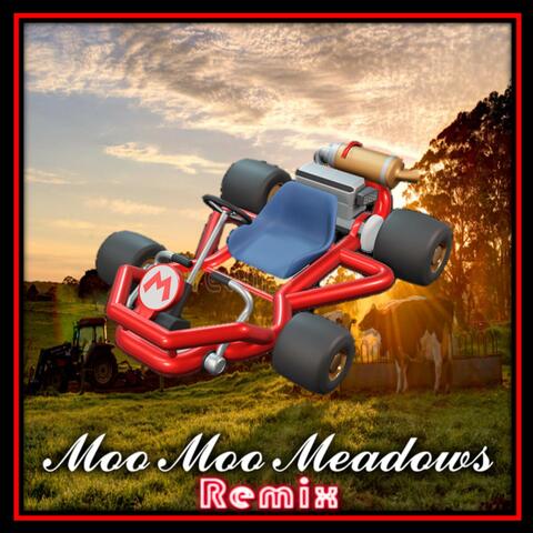 Moo Moo Meadows (Mario Kart)