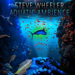 Aquatic Ambience (From "Donkey Kong Country")