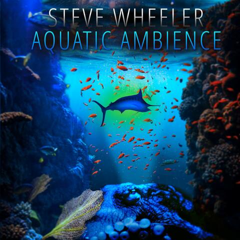 Aquatic Ambience (From "Donkey Kong Country")