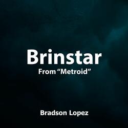 Brinstar (From "Metroid")