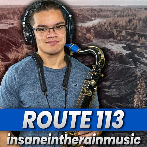 Route 113 (from "Pokémon Ruby / Sapphire / Emerald")