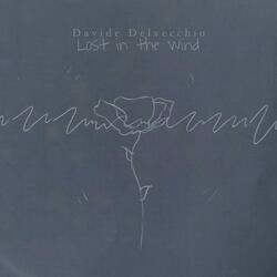 Lost in the Wind
